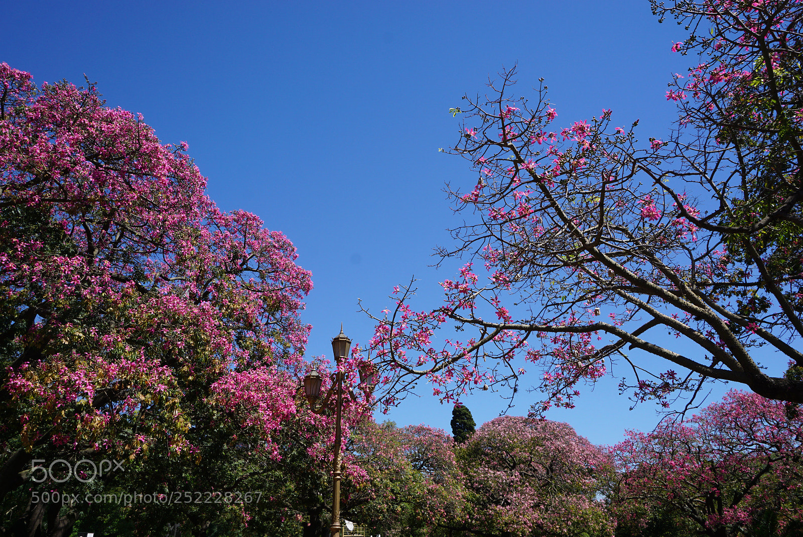 Sony a6000 sample photo. Buenos aires argentina photography