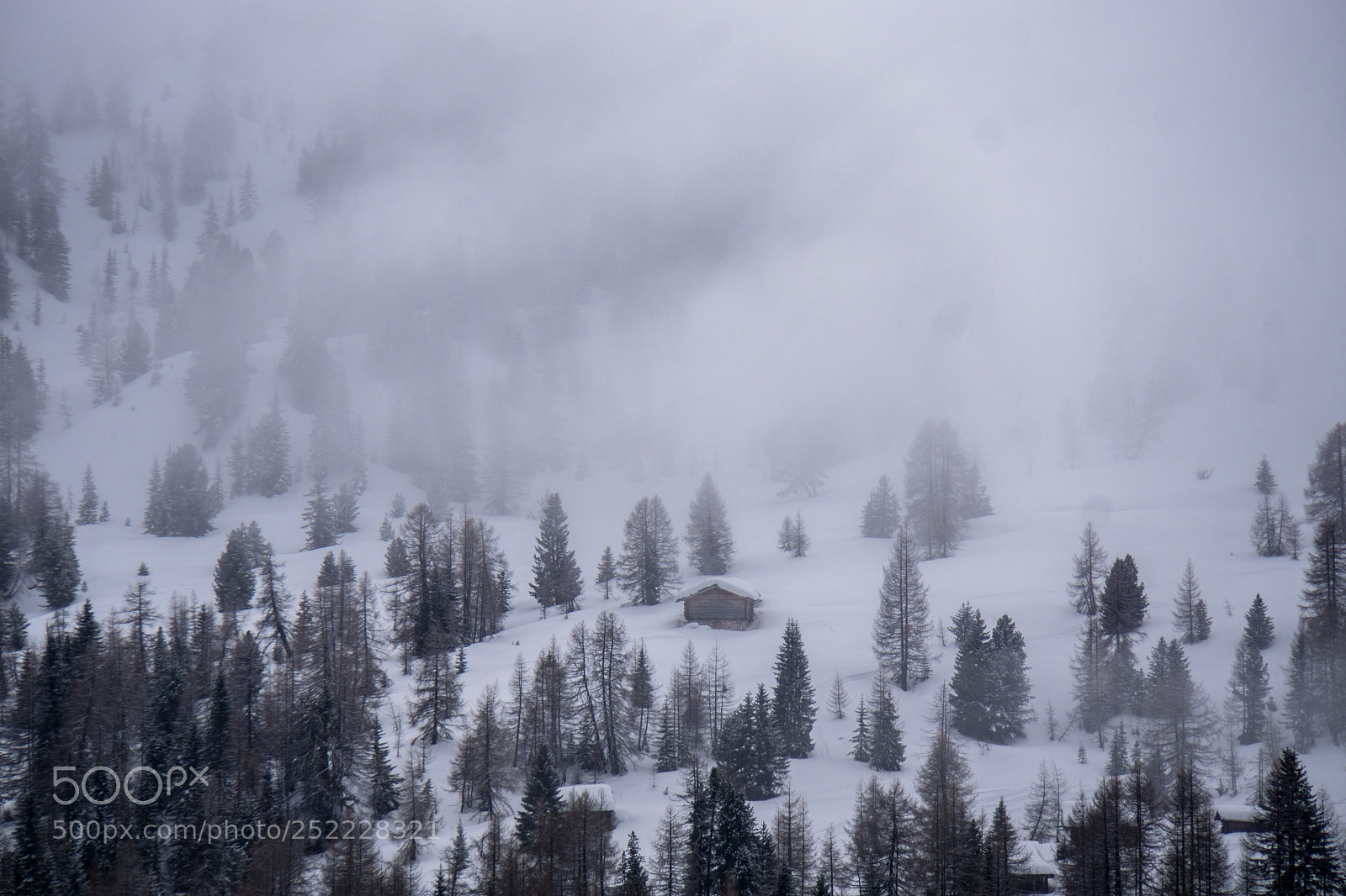 Sony a6000 sample photo. Winterstimmung photography