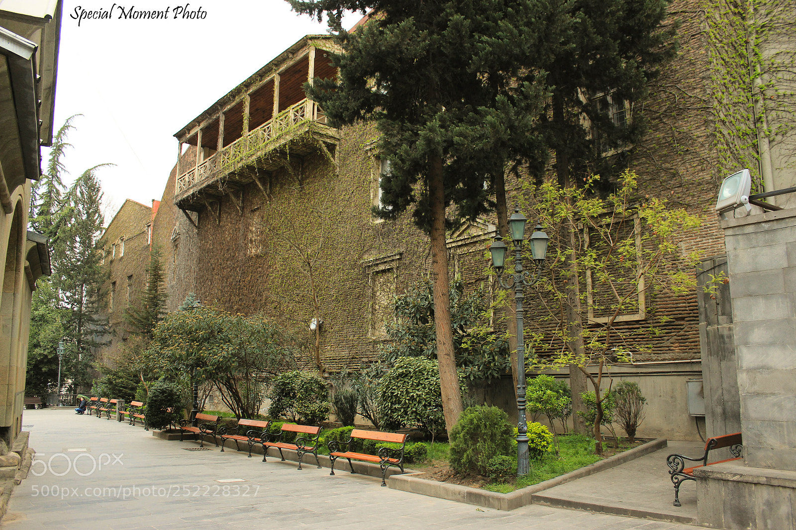 Canon EOS 600D (Rebel EOS T3i / EOS Kiss X5) sample photo. Green streets photography