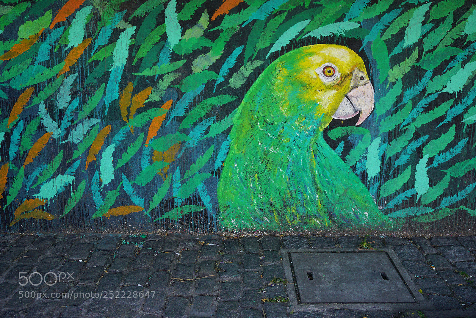Sony a6000 sample photo. Buenos aires argentina photography