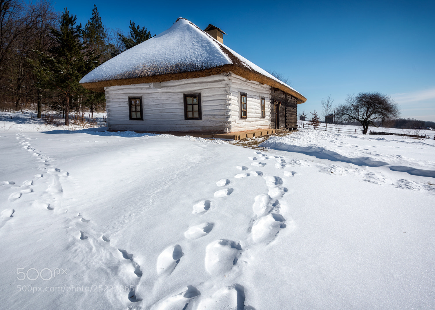 Nikon D810 sample photo. Y photography