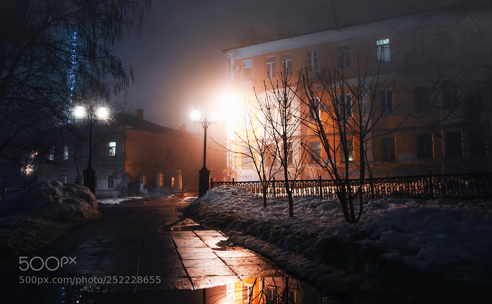 Nikon D7000 sample photo. The fog in the photography