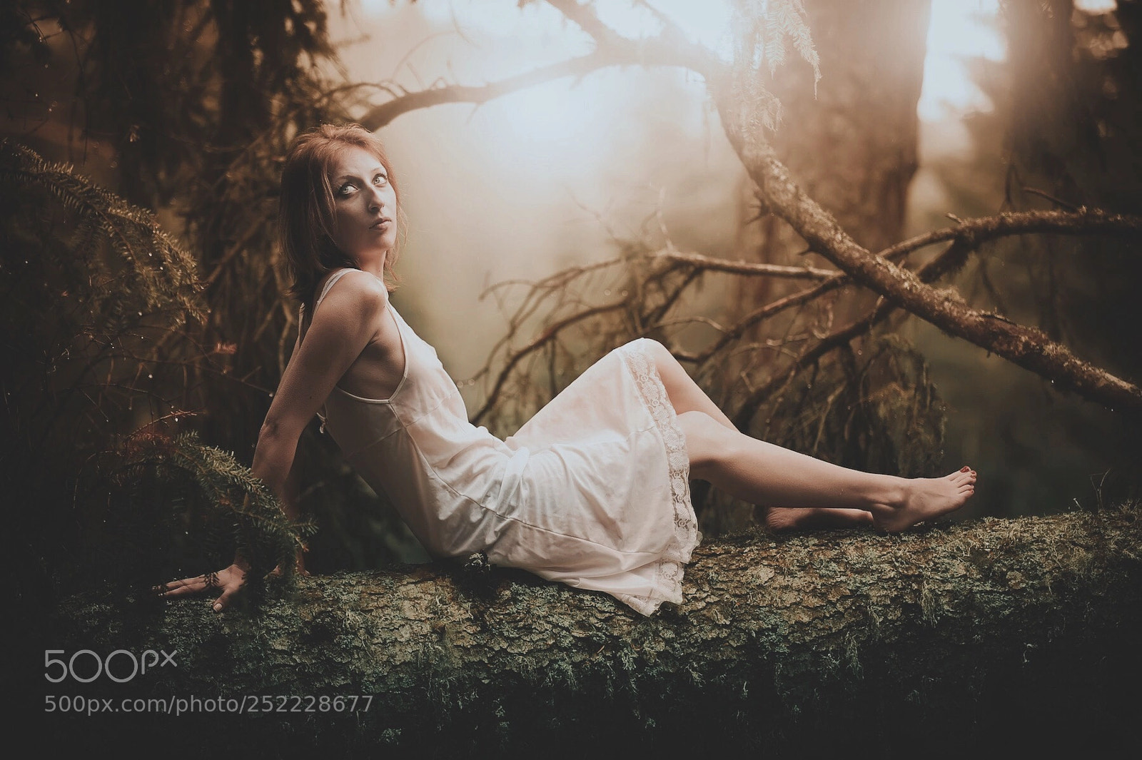 Nikon D700 sample photo. Autumn feelings photography