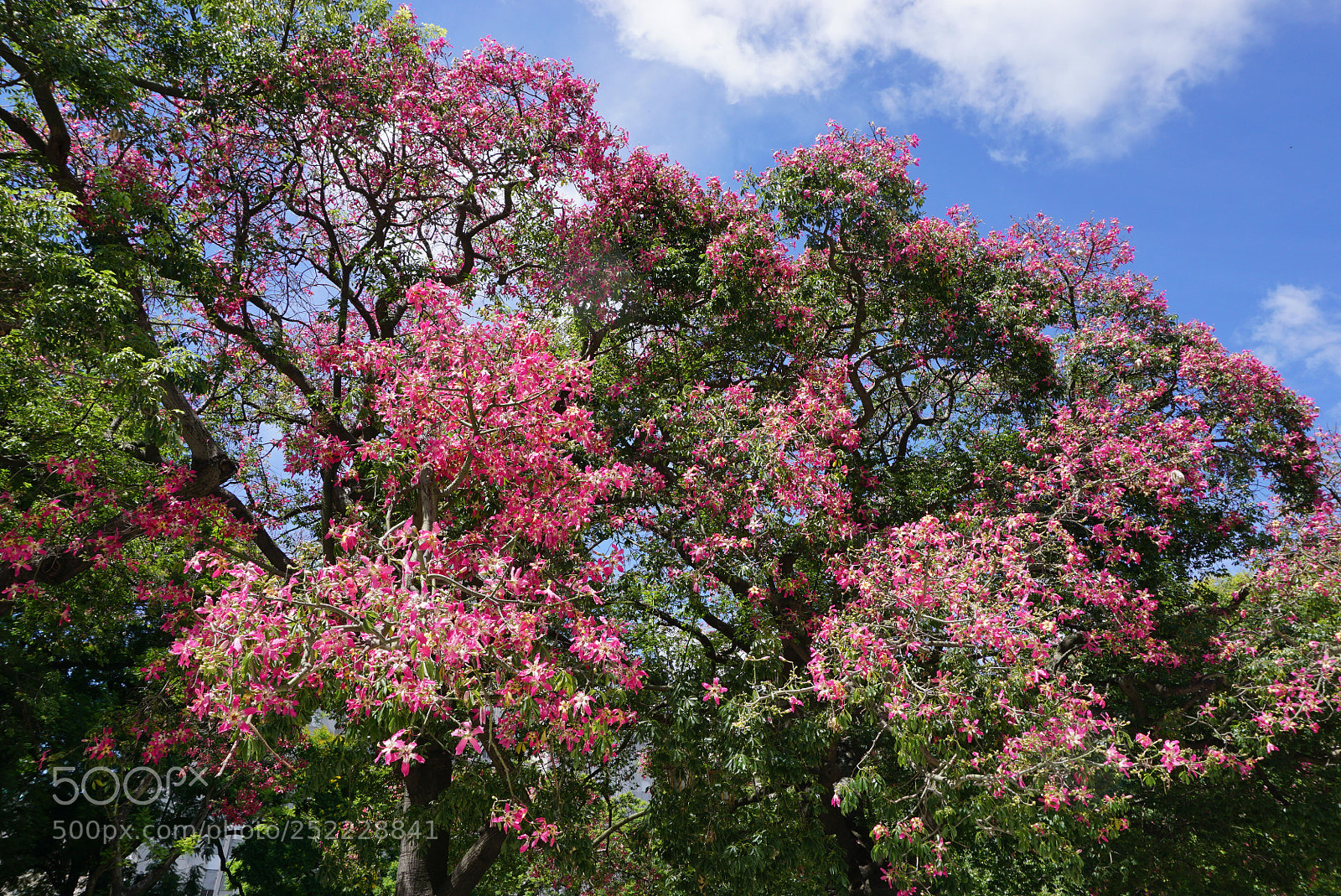 Sony a6000 sample photo. Buenos aires argentina photography
