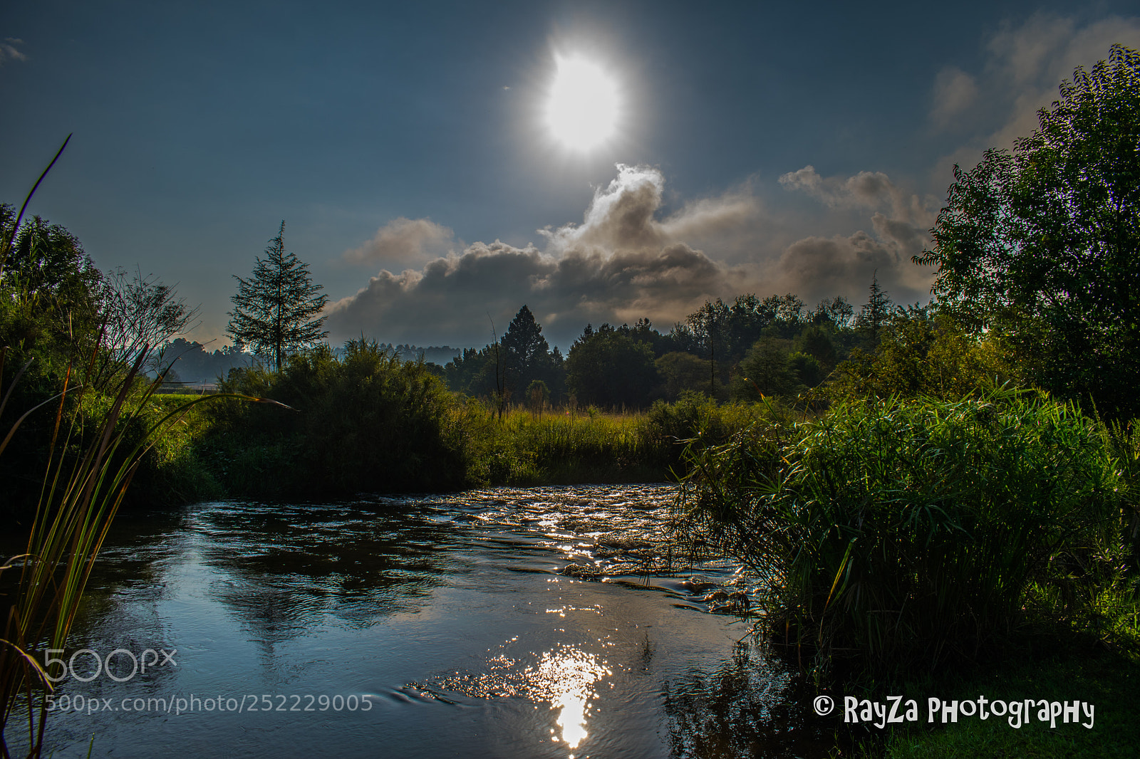 Nikon D5300 sample photo. Sunshine in darkness photography