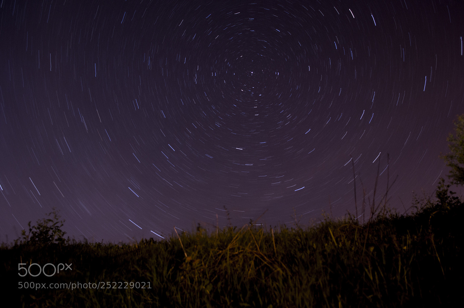 Nikon D3200 sample photo. Polaris photography