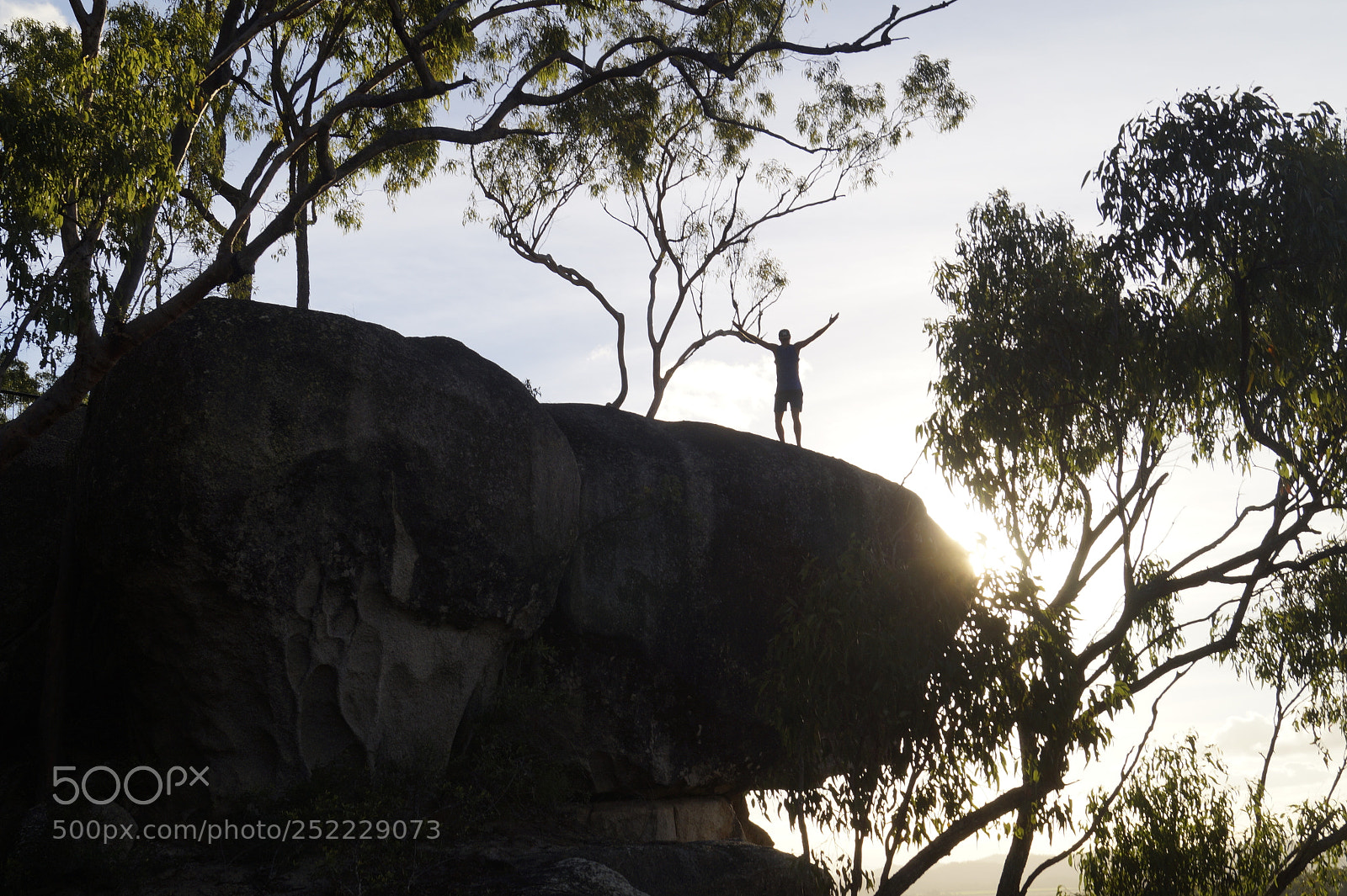 Sony SLT-A58 sample photo. Australia_2017 photography