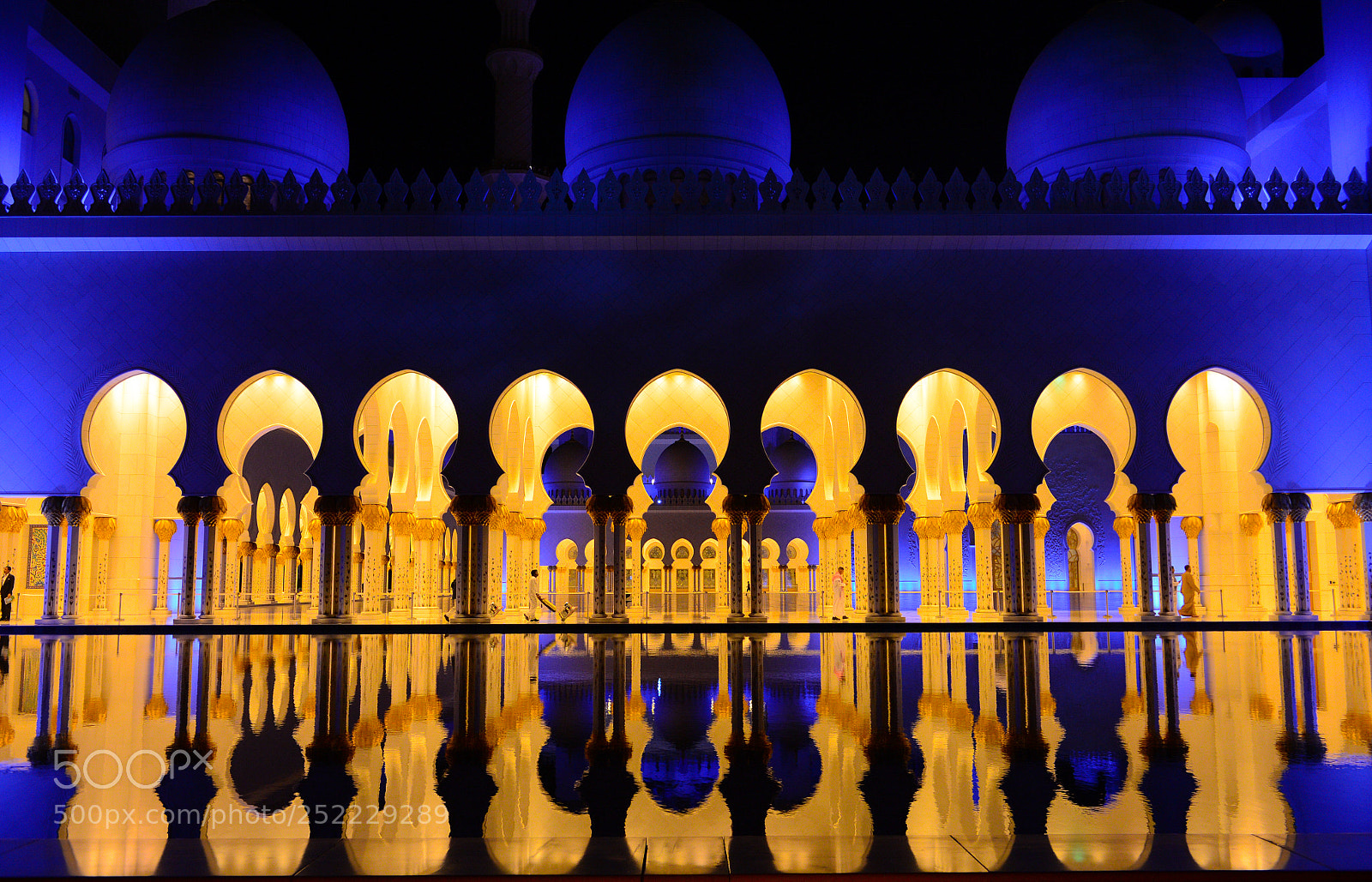 Nikon D4 sample photo. Water mirror photography
