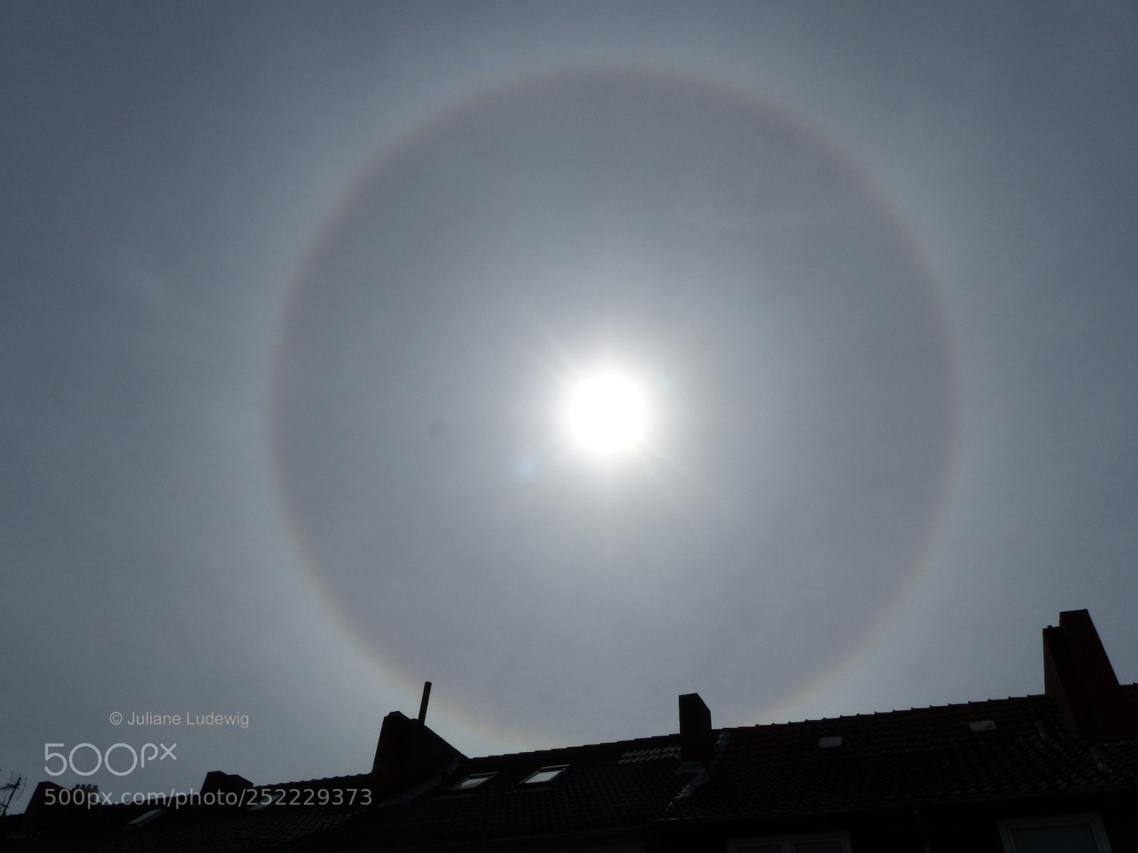 Panasonic Lumix DMC-FZ200 sample photo. Halo effekt photography