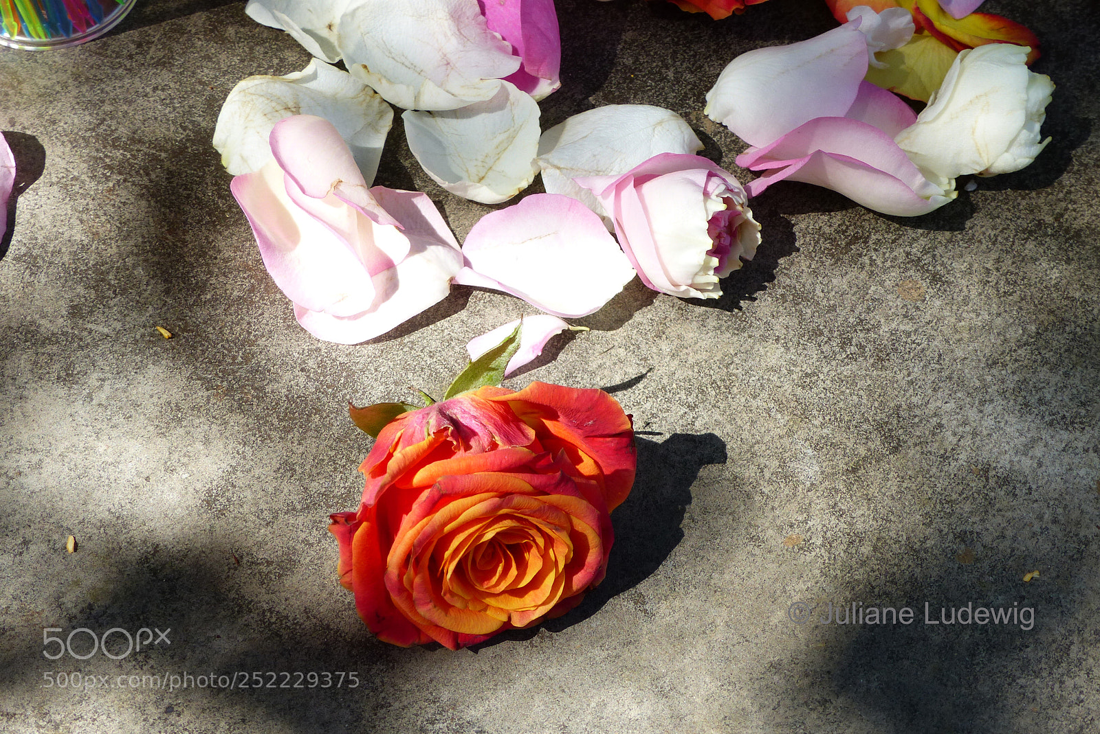 Panasonic Lumix DMC-FZ200 sample photo. Jl photography