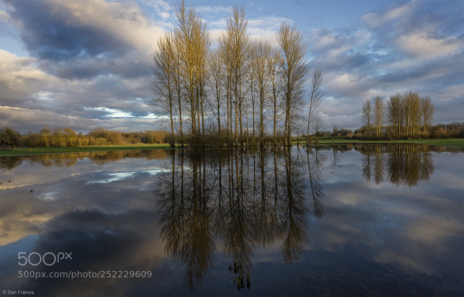 Sony a7R sample photo. Flooded trees photography