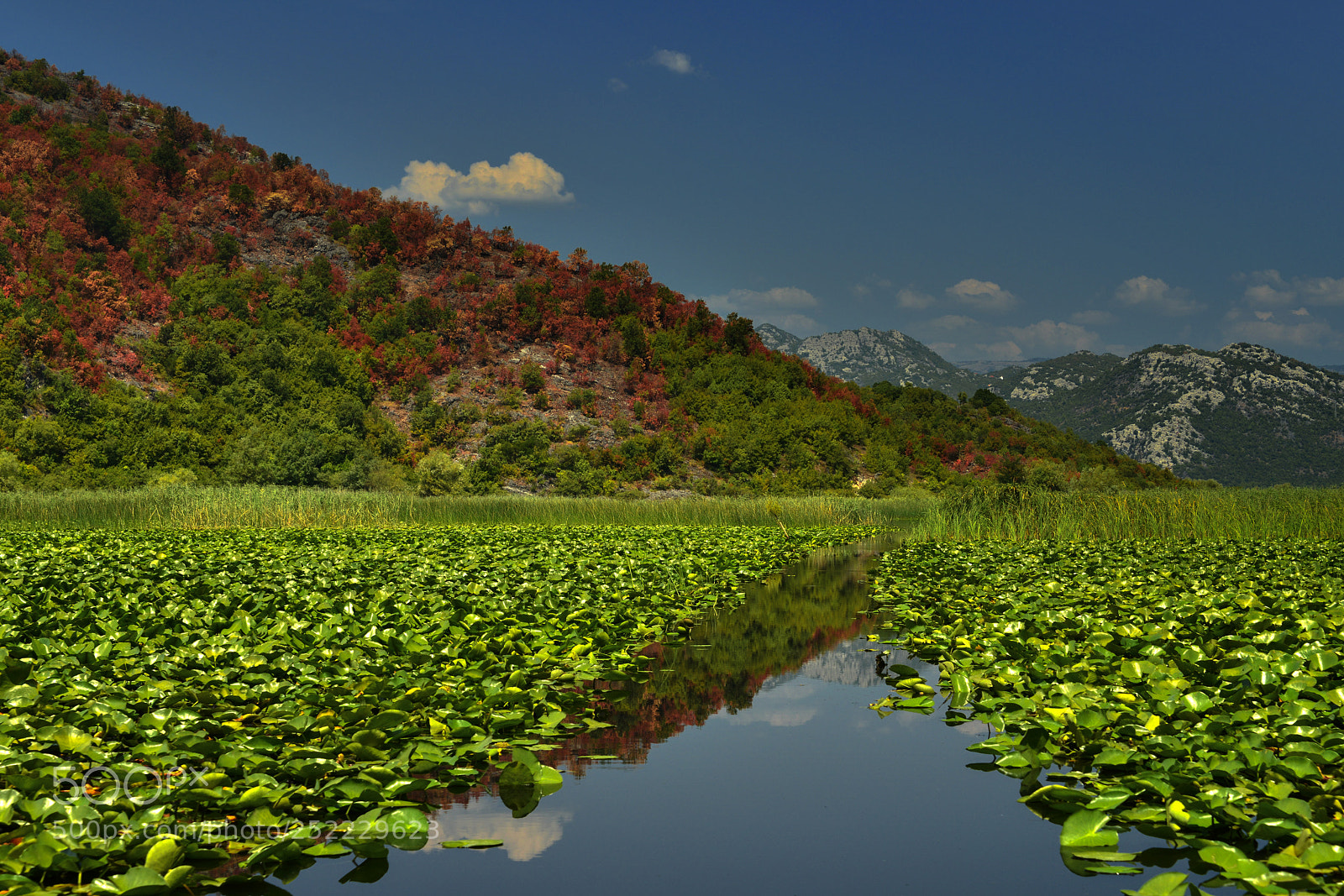 Nikon D800E sample photo. Montenegro calm photography