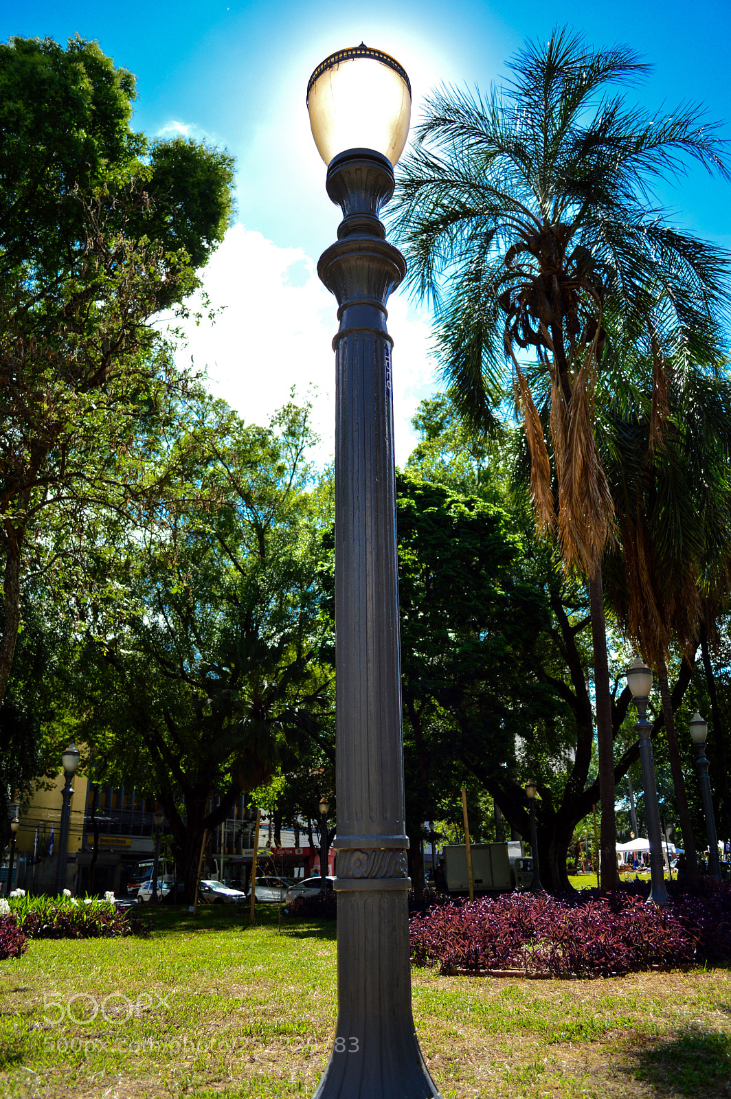 Nikon D3200 sample photo. Untitled photography