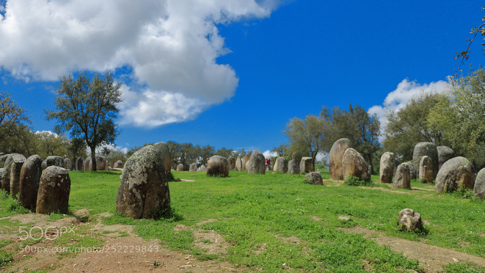Canon EOS 70D sample photo. Field full of rocks photography