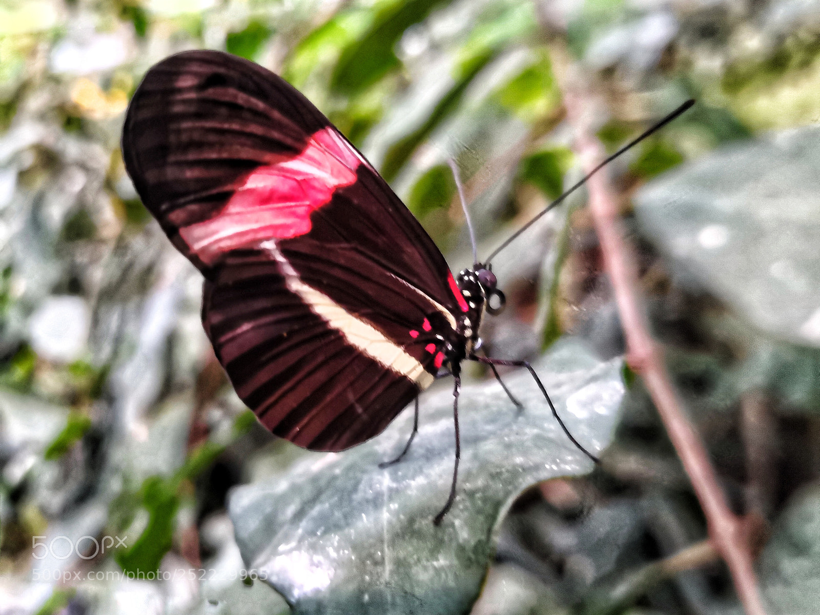 HUAWEI Mate 10 Pro sample photo. Untitled photography