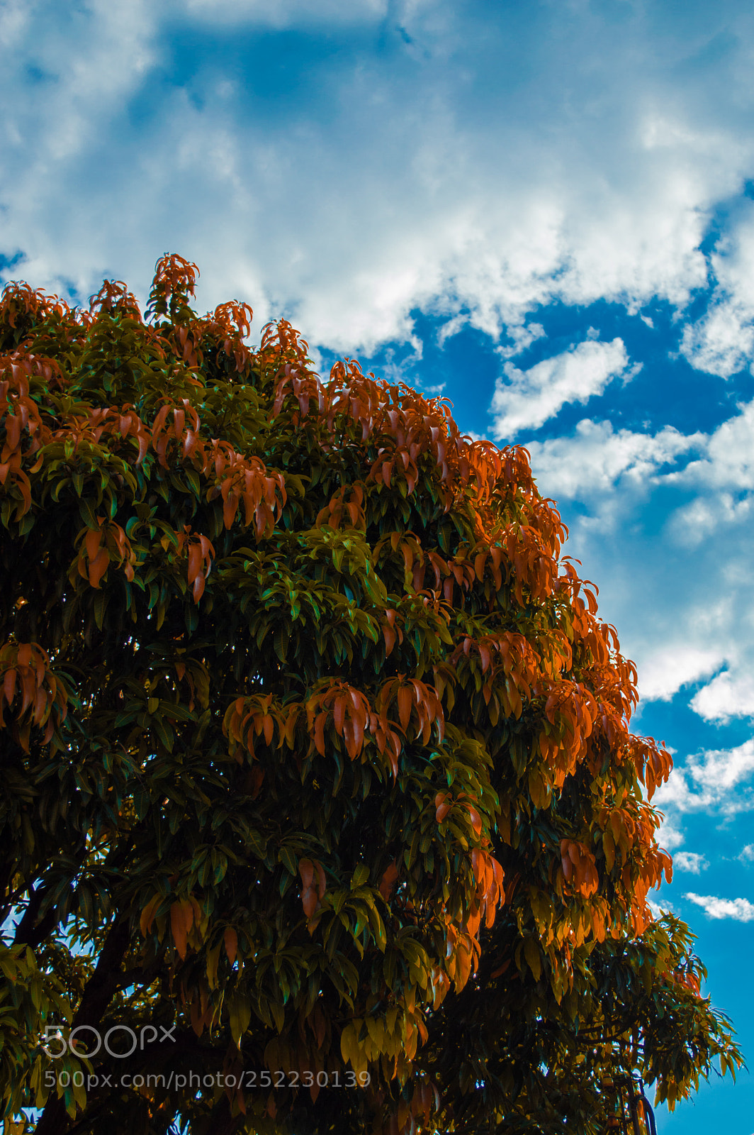 Nikon D3200 sample photo. Untitled photography