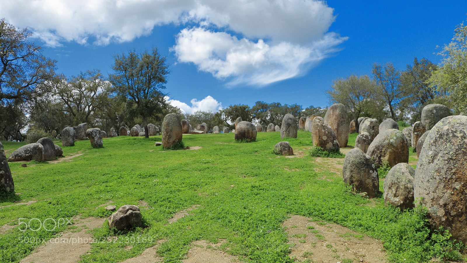Canon EOS 70D sample photo. A field of monoliths photography