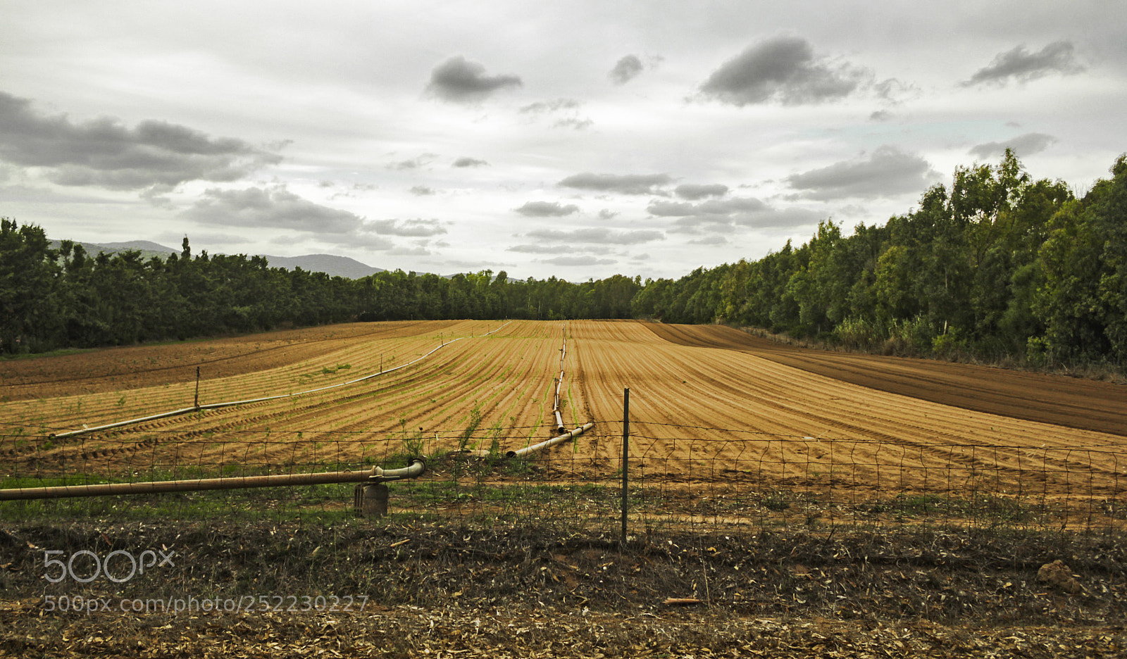 Canon EOS 550D (EOS Rebel T2i / EOS Kiss X4) sample photo. Farmland photography