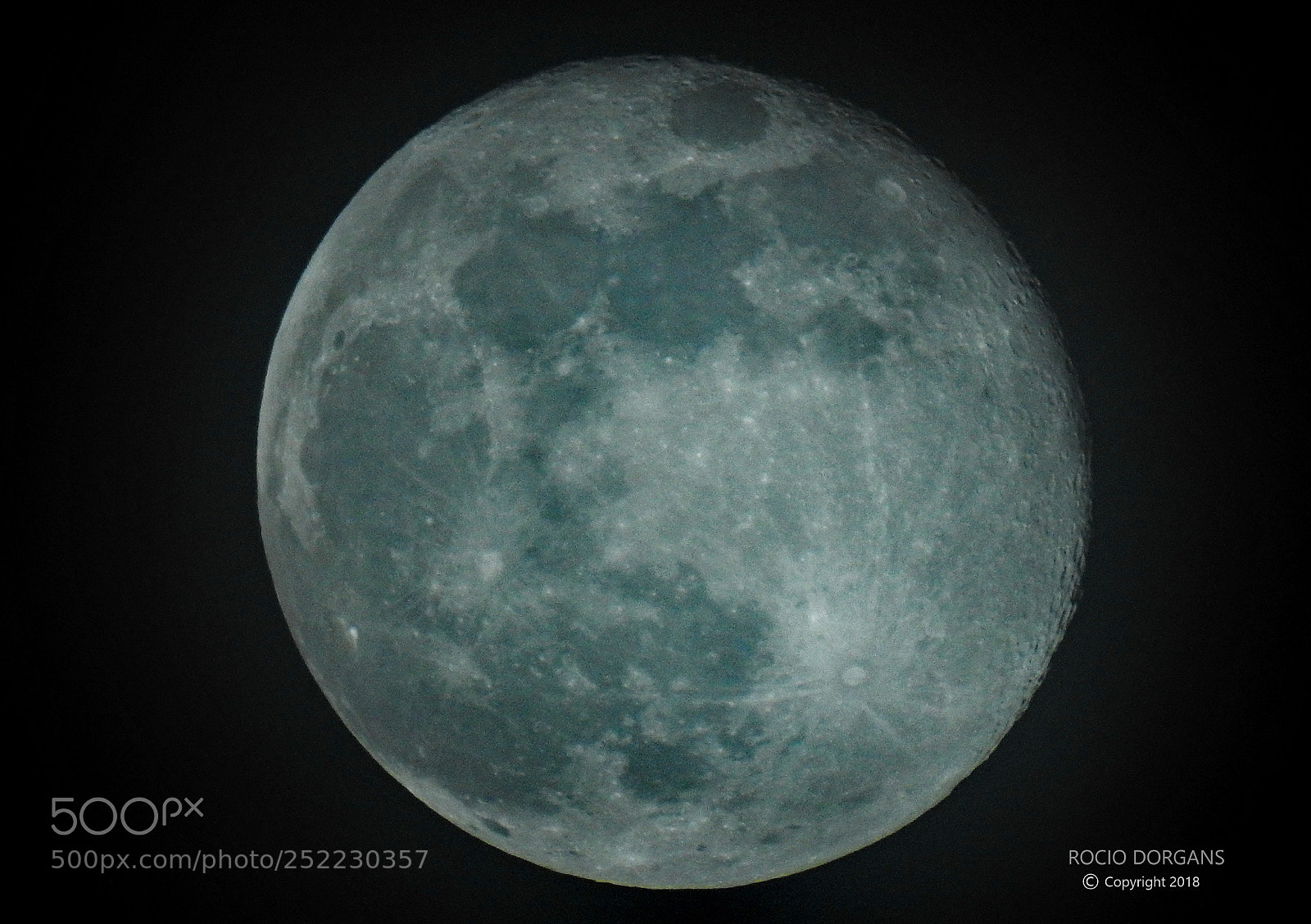 Nikon Coolpix P900 sample photo. Moon photography