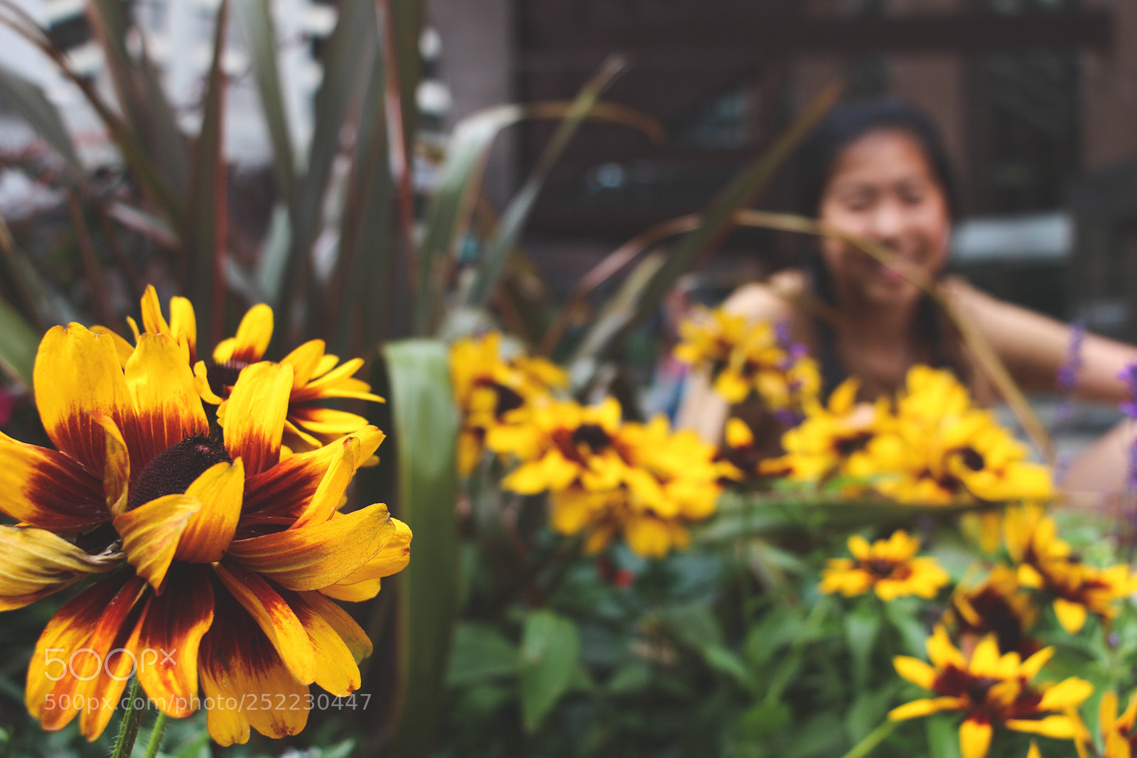 Canon EOS 700D (EOS Rebel T5i / EOS Kiss X7i) sample photo. Flower x kathryn photography
