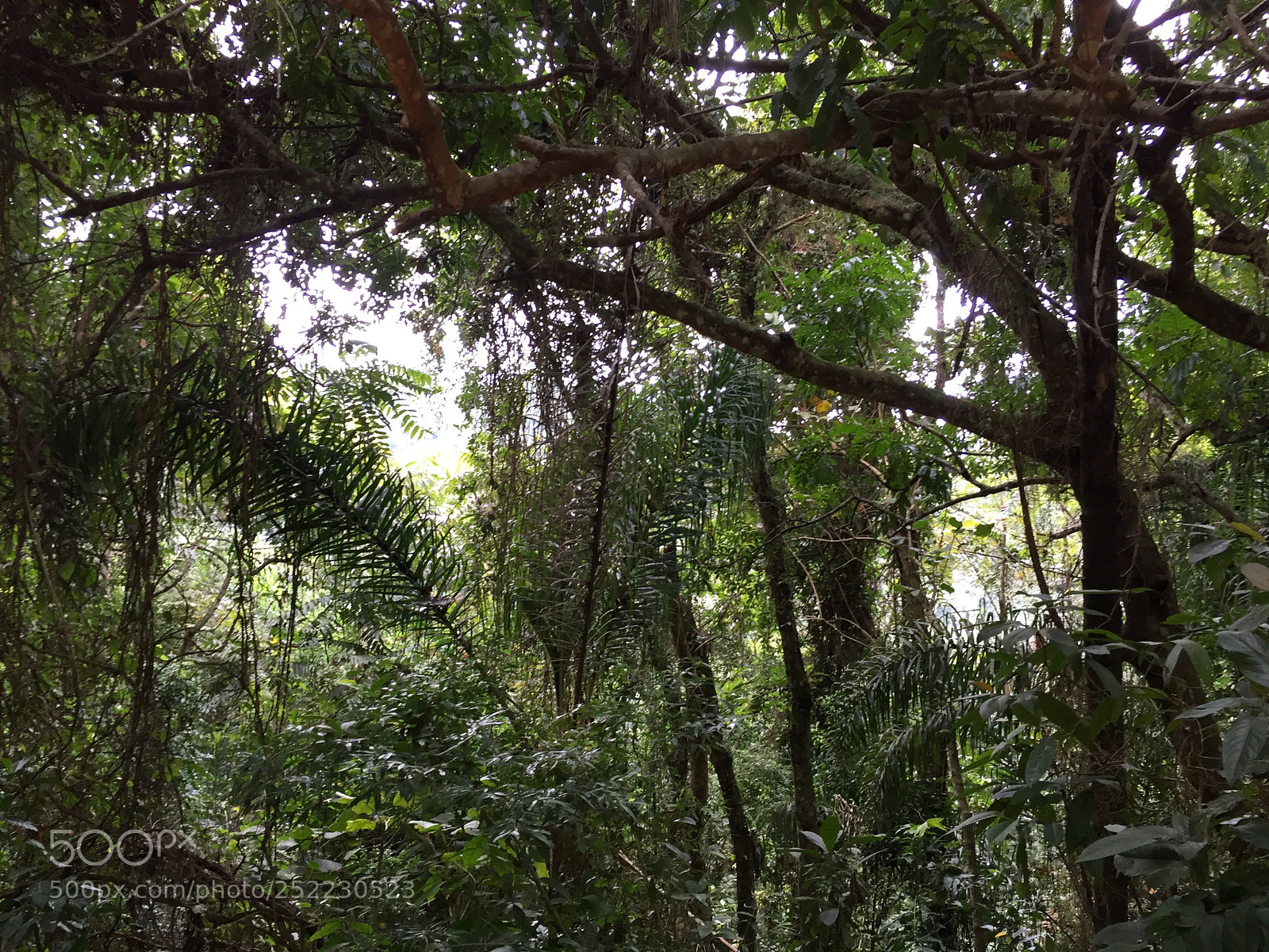 Apple iPhone 6 sample photo. Untitled photography
