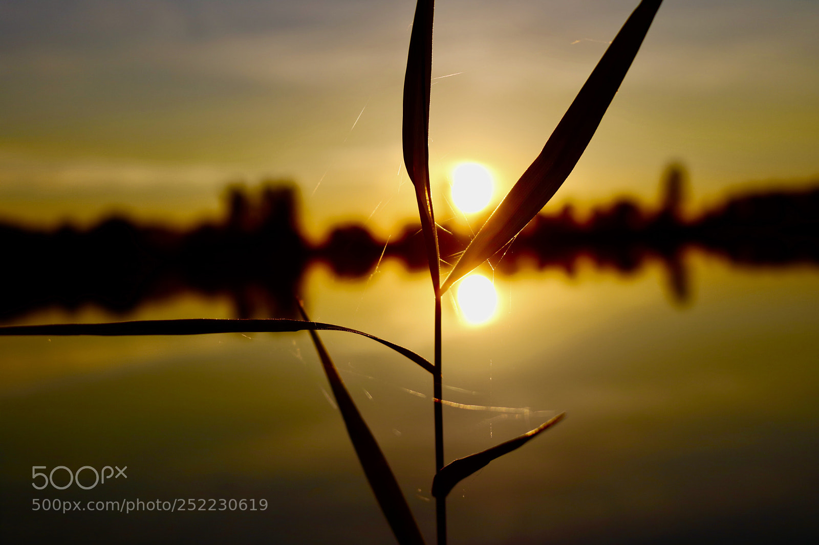 Canon EOS 750D (EOS Rebel T6i / EOS Kiss X8i) sample photo. Summer vibes photography