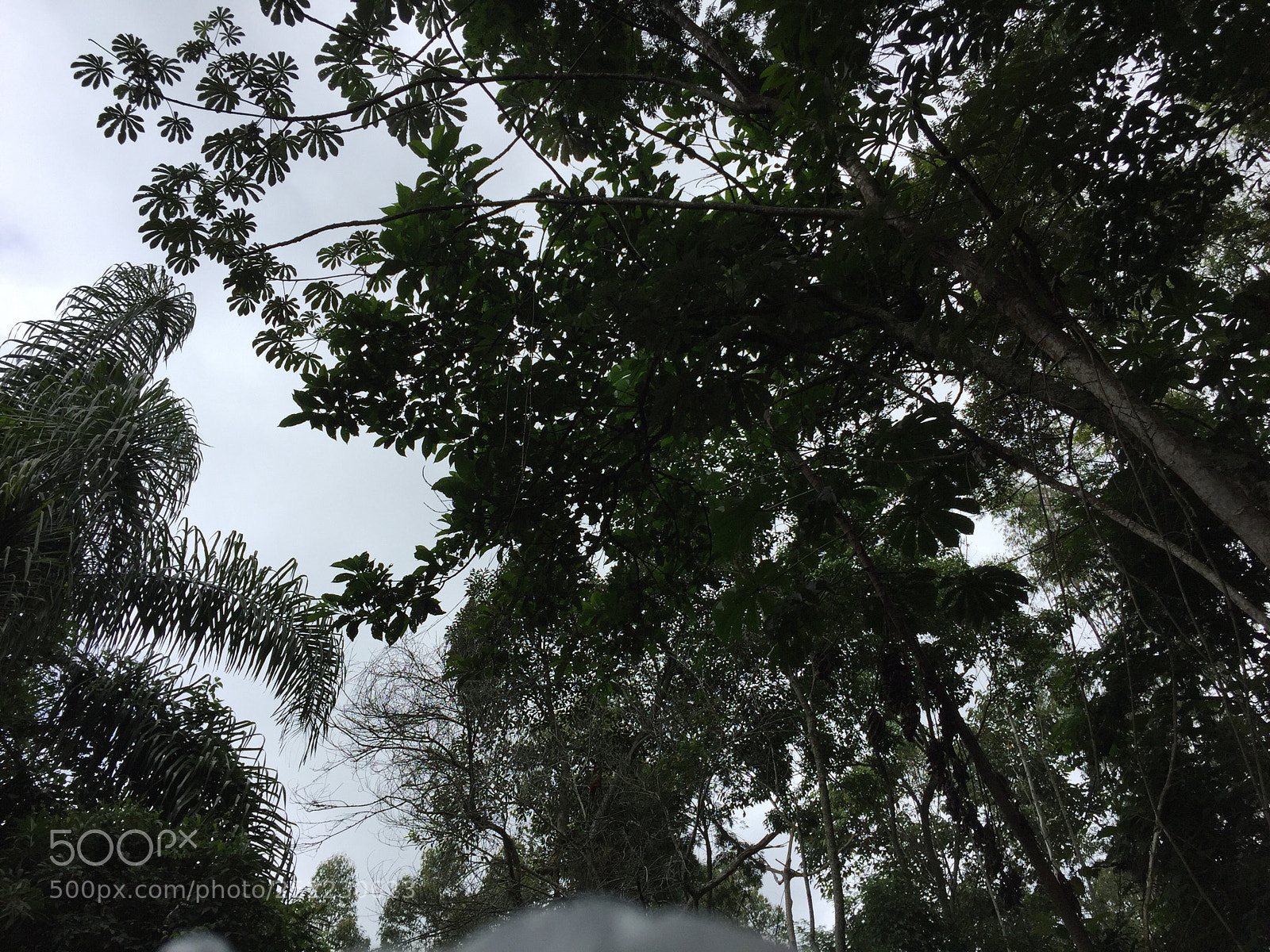Apple iPhone 6 sample photo. Untitled photography