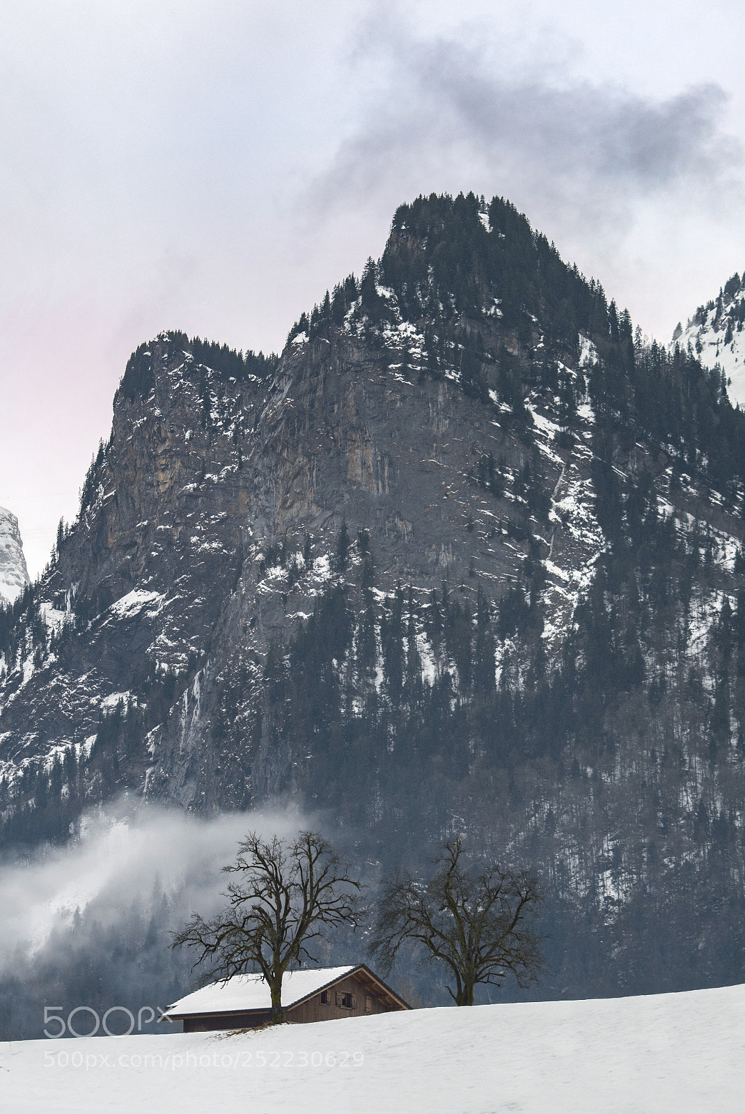Nikon D7100 sample photo. Solitude photography