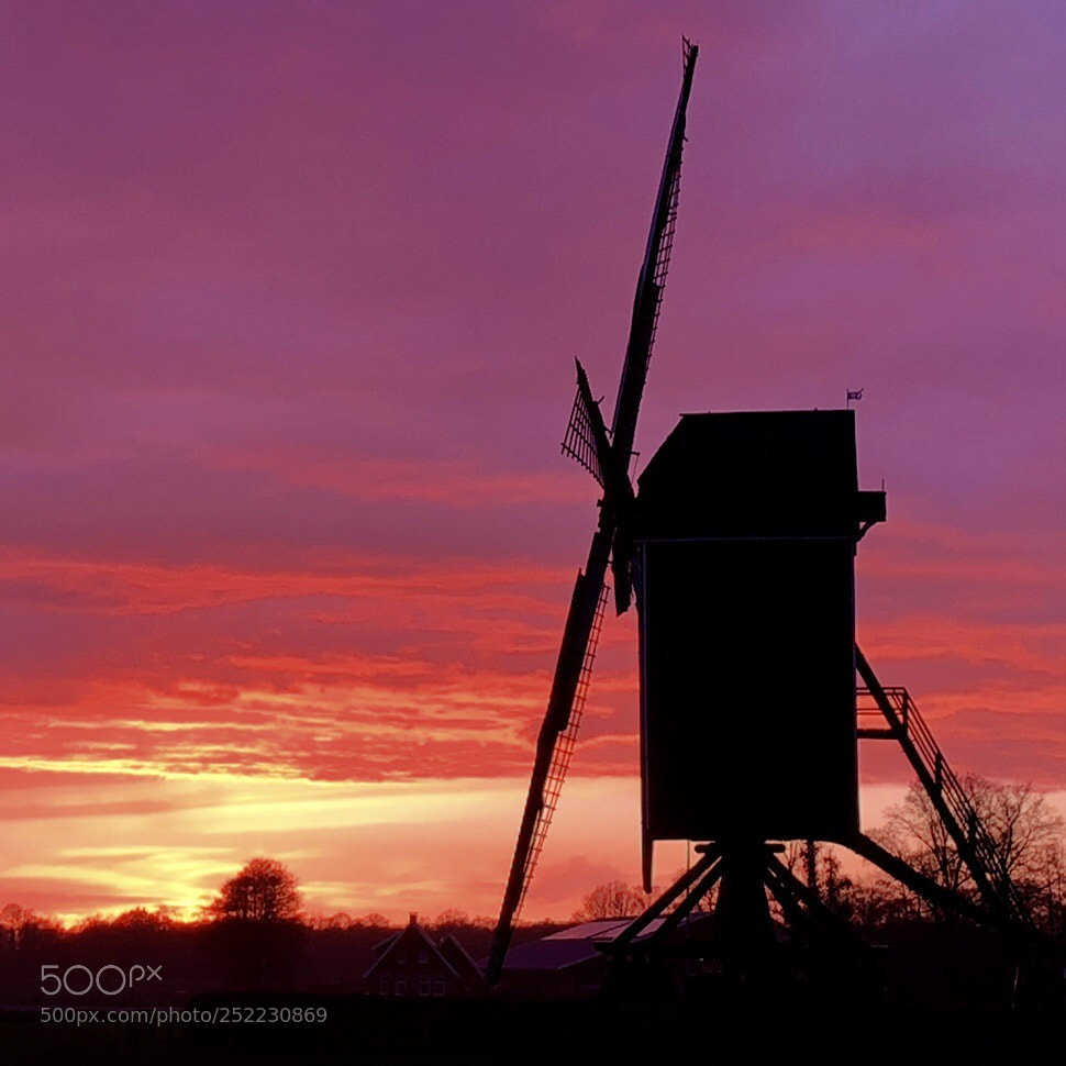 Apple iPhone 8 sample photo. Windmill sunset photography