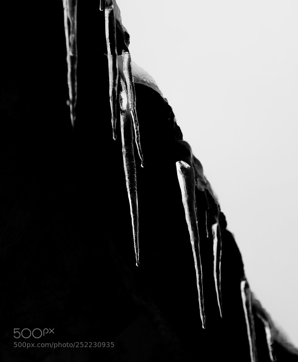 Nikon D7000 sample photo. Icicles photography