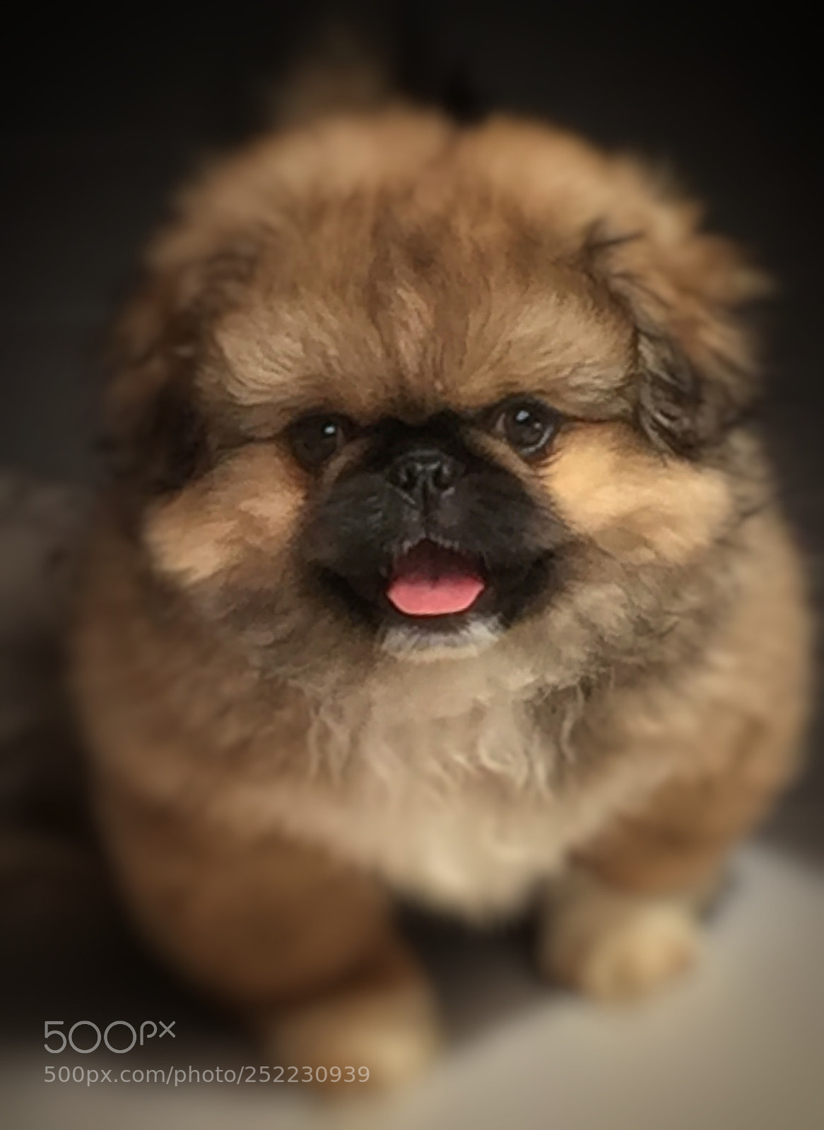 Apple iPhone 6 sample photo. I'm bart !!! photography