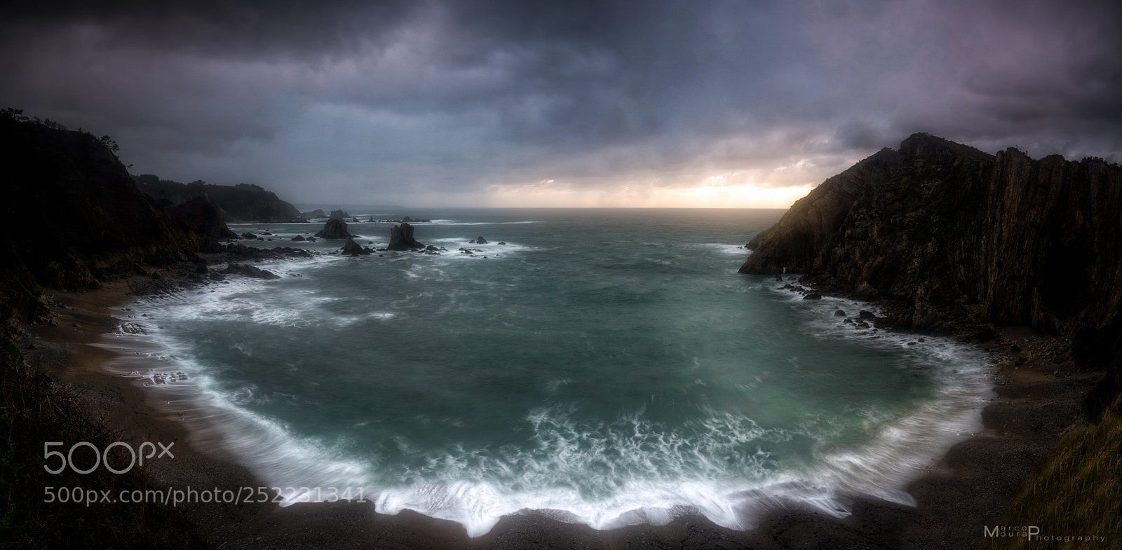 Nikon D810 sample photo. Wide  and silent photography