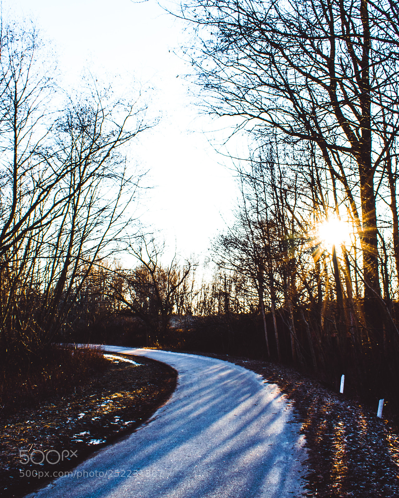 Nikon D3300 sample photo. Fugg photography