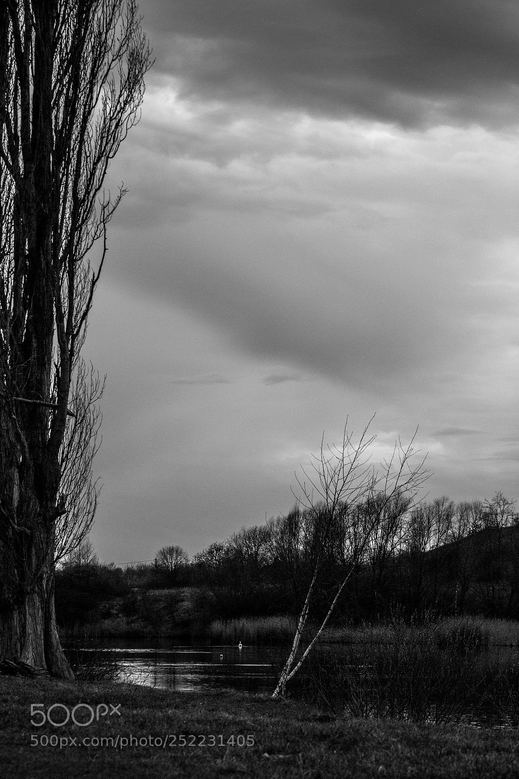 Canon EOS 700D (EOS Rebel T5i / EOS Kiss X7i) sample photo. Cloudy sunset photography