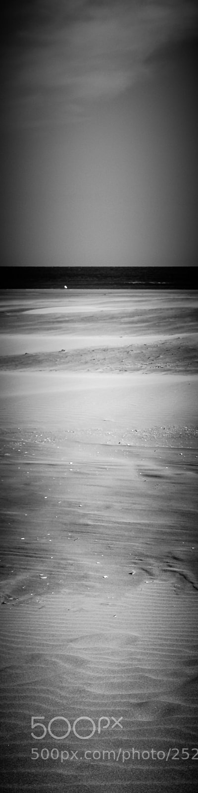 Fujifilm X100F sample photo. Sable photography