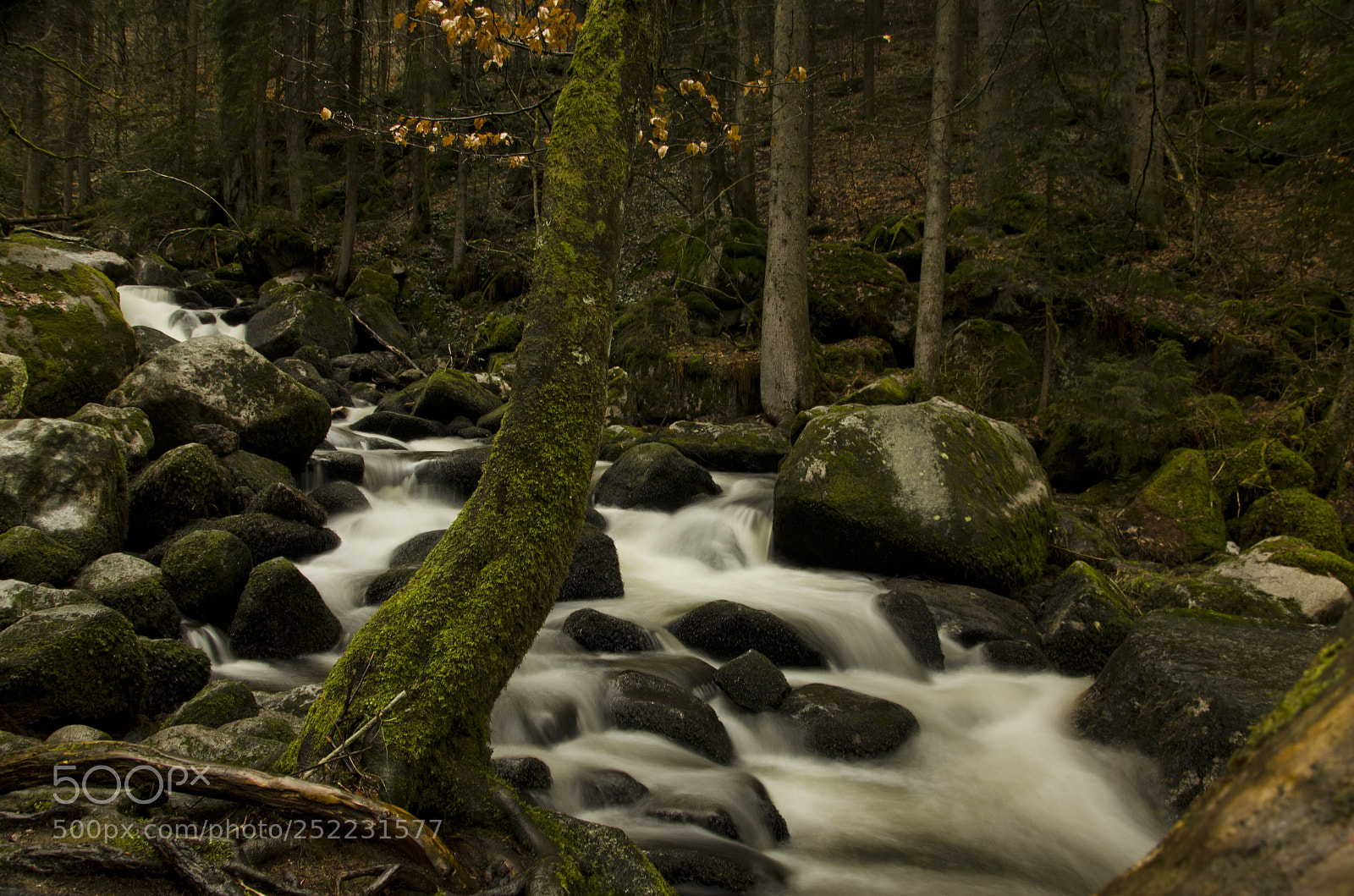 Nikon D5100 sample photo. Triberg waterfall photography