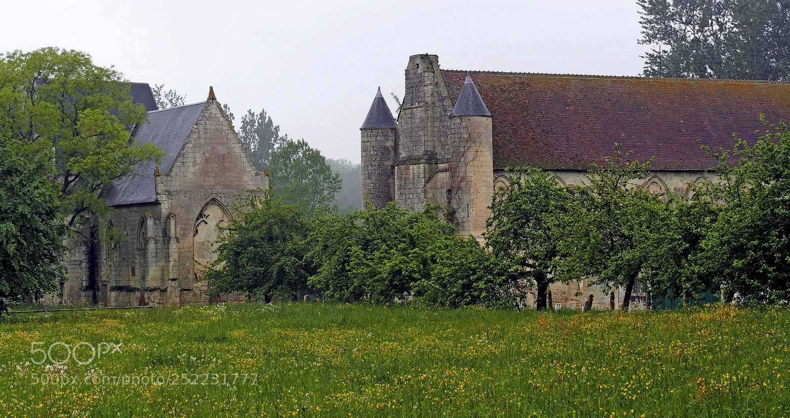 Olympus OM-D E-M5 sample photo. Prieur du tortoir-for t photography