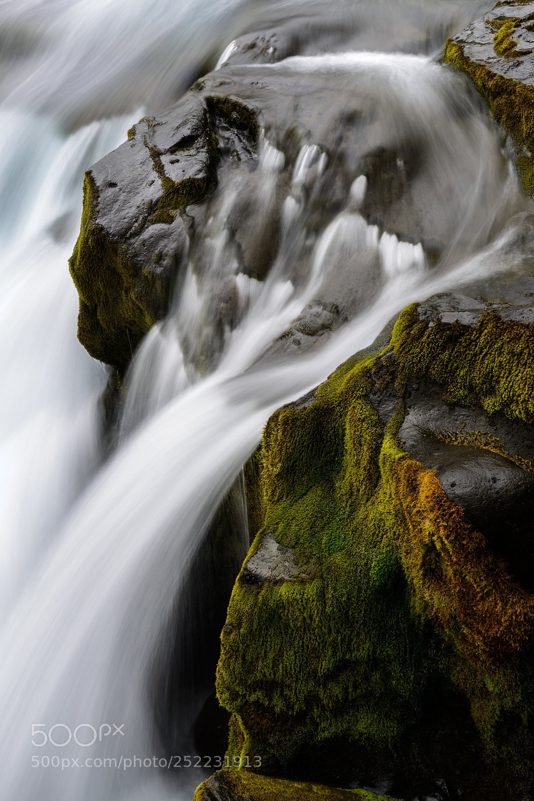 Nikon D800E sample photo. Hey photography