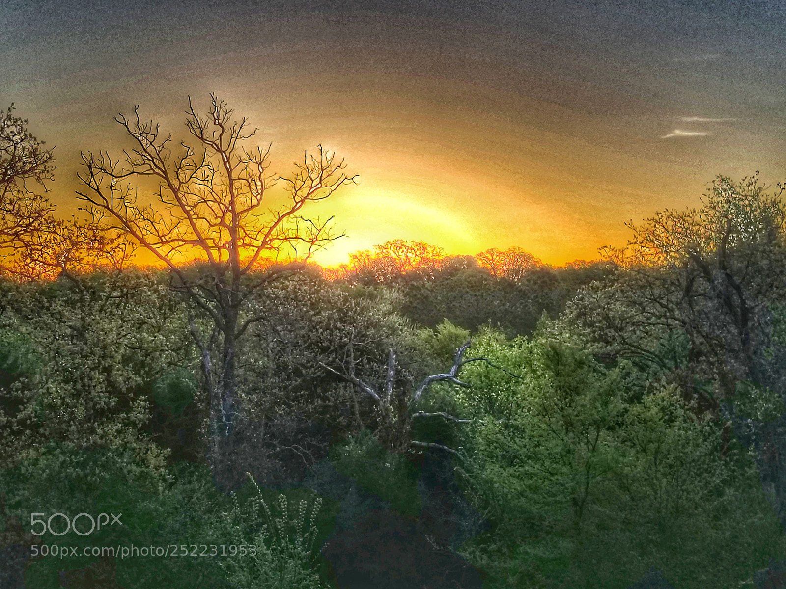 Samsung Galaxy S8+ sample photo. Sunrise in texas hdr photography