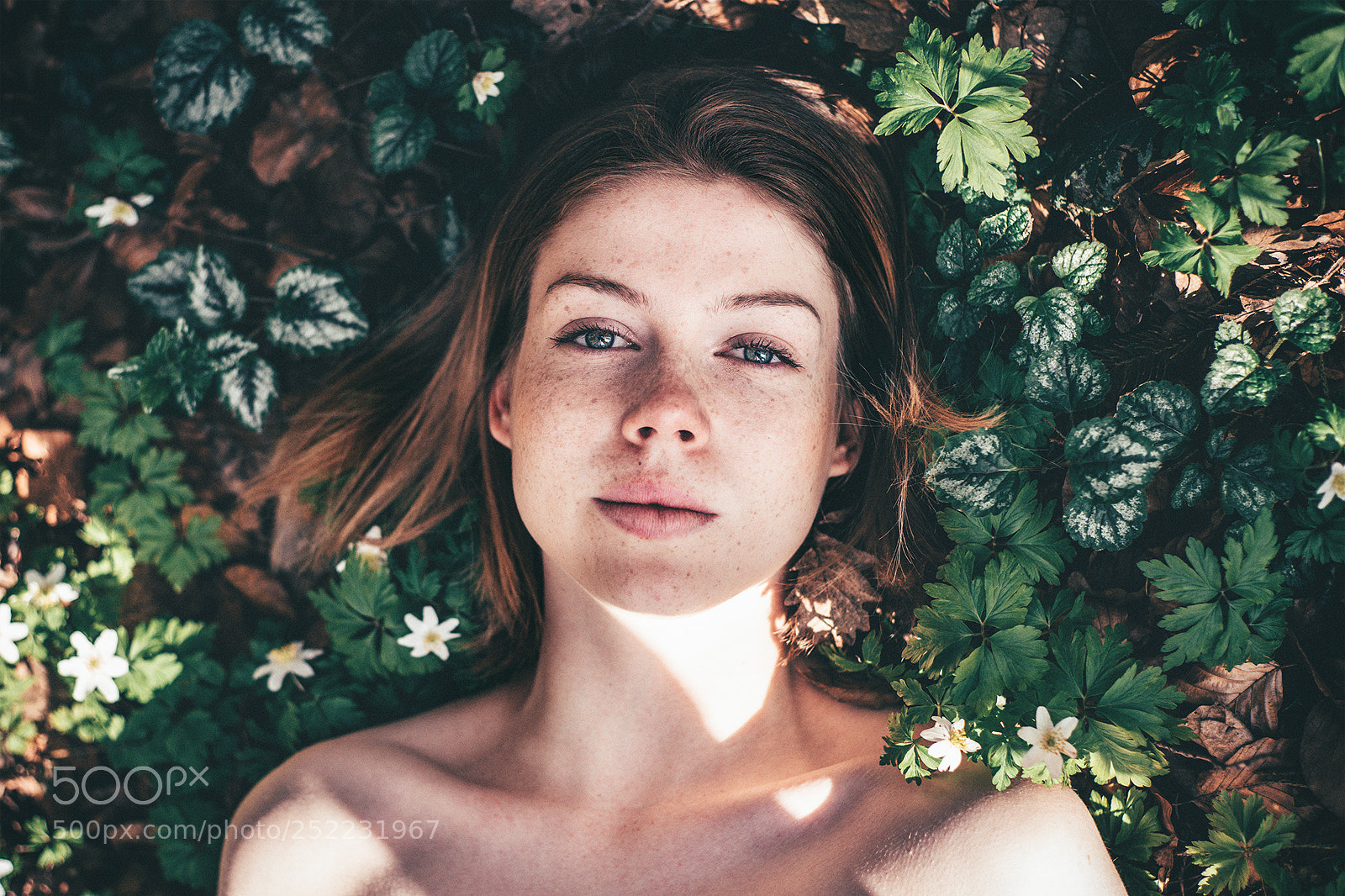 Sony a7 II sample photo. S p r i photography