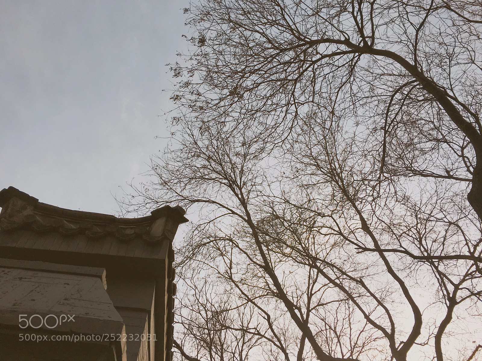 Apple iPhone 6s sample photo. Winter in beijing photography