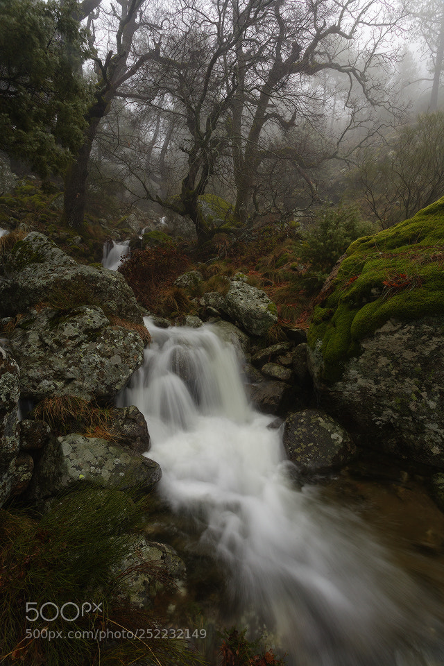 Canon EOS 5D Mark II sample photo. Pavon land photography