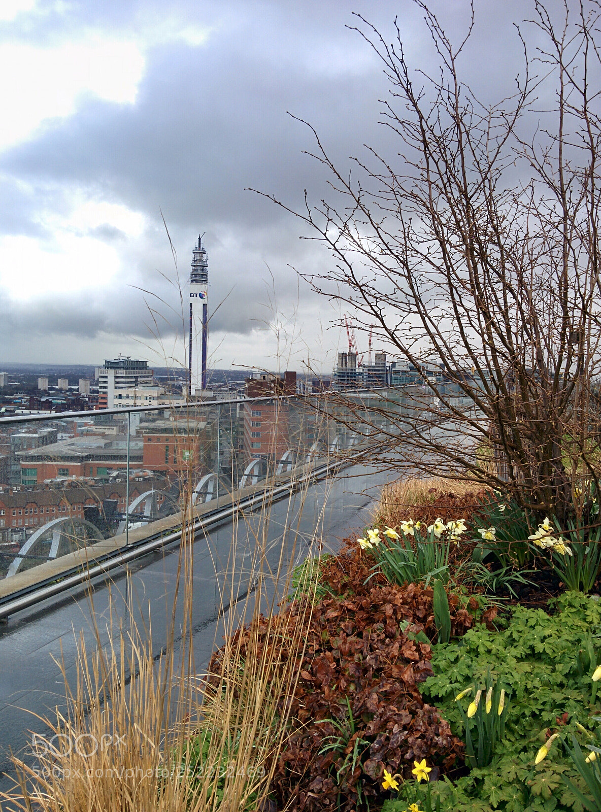 LG Nexus 5 sample photo. Secret garden birmingham library photography