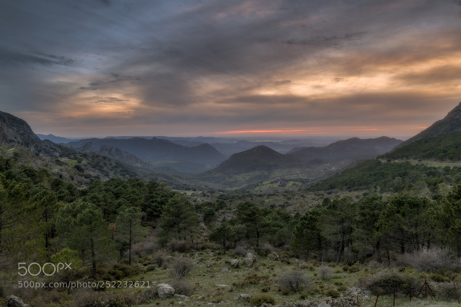 Nikon D850 sample photo. Puerto del boyar photography