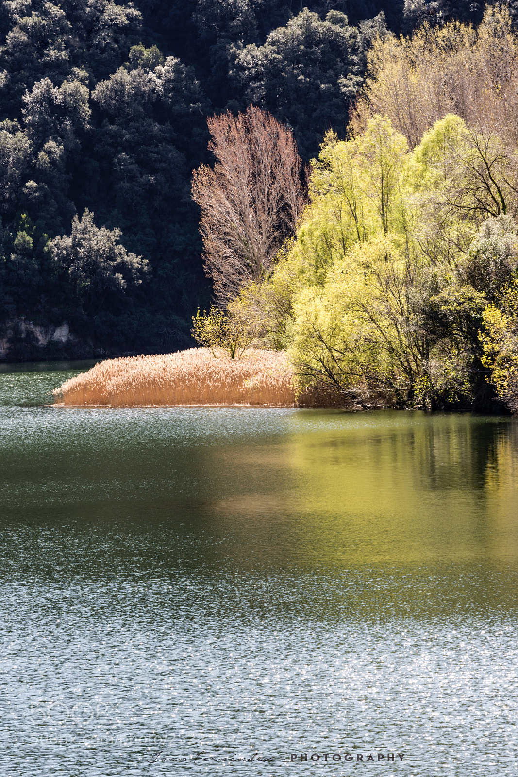 Nikon D7200 sample photo. Susqueda photography