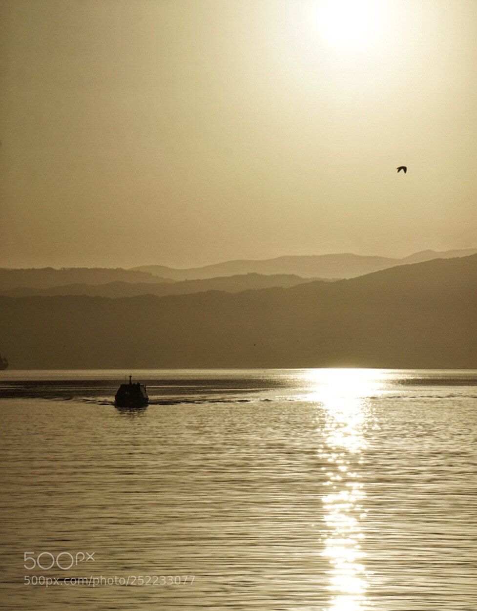 Sony a6000 sample photo. Wellington harbour photography