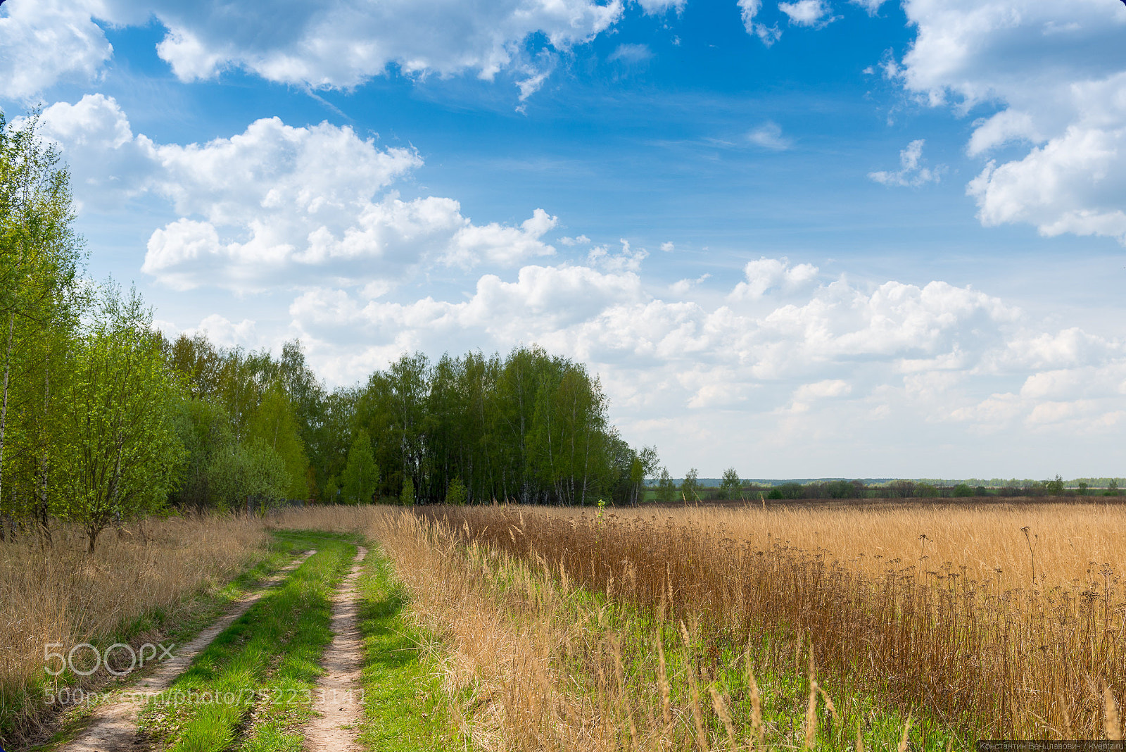 Nikon D800 sample photo. Summer photography