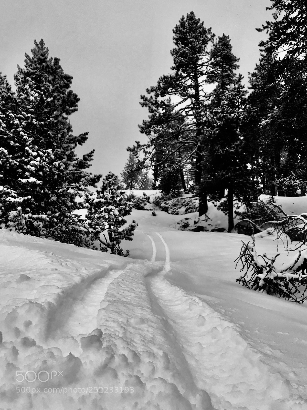 Apple iPhone 7 sample photo. Font romeu photography