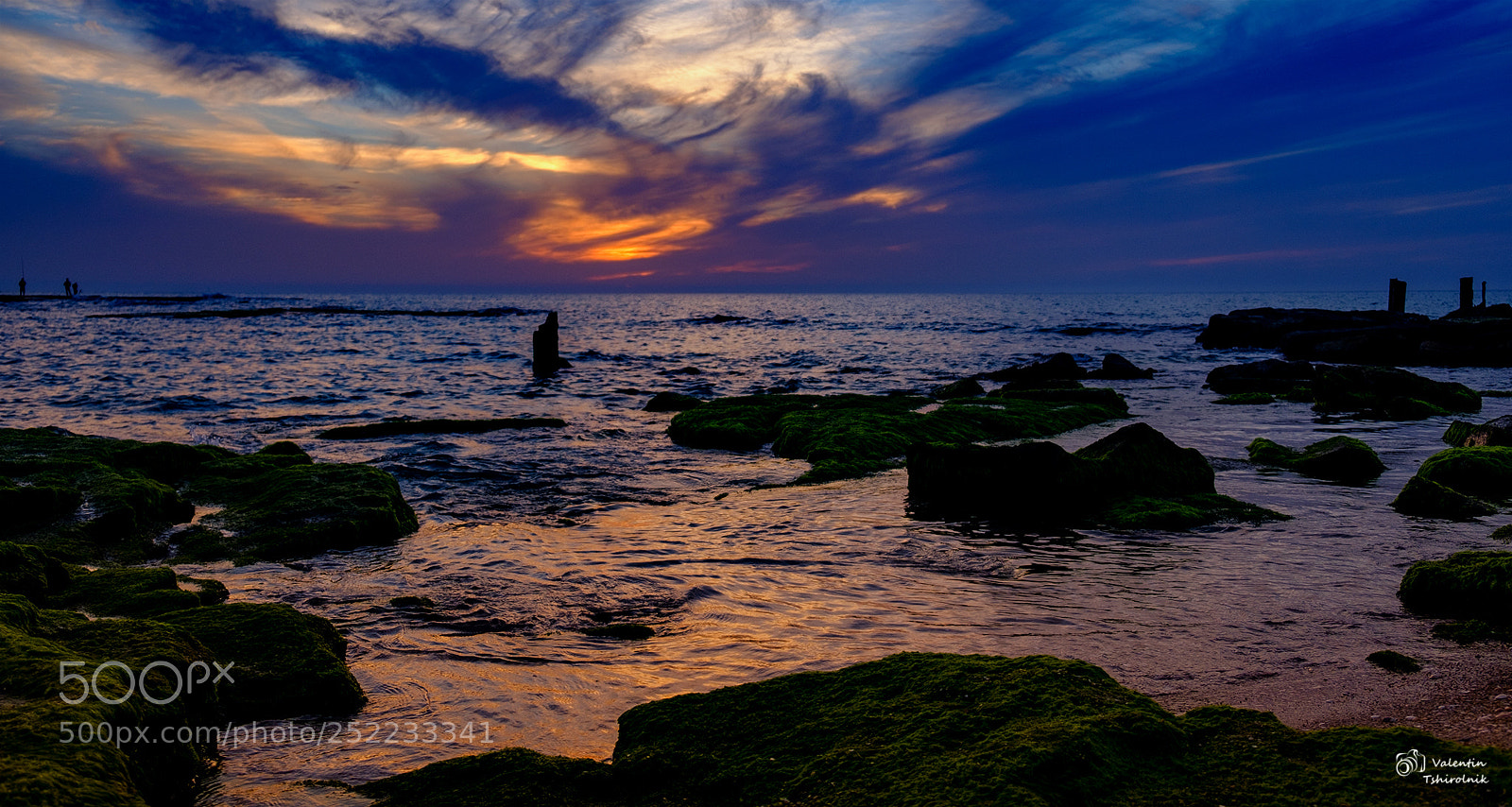 Fujifilm X-T20 sample photo. копия photography
