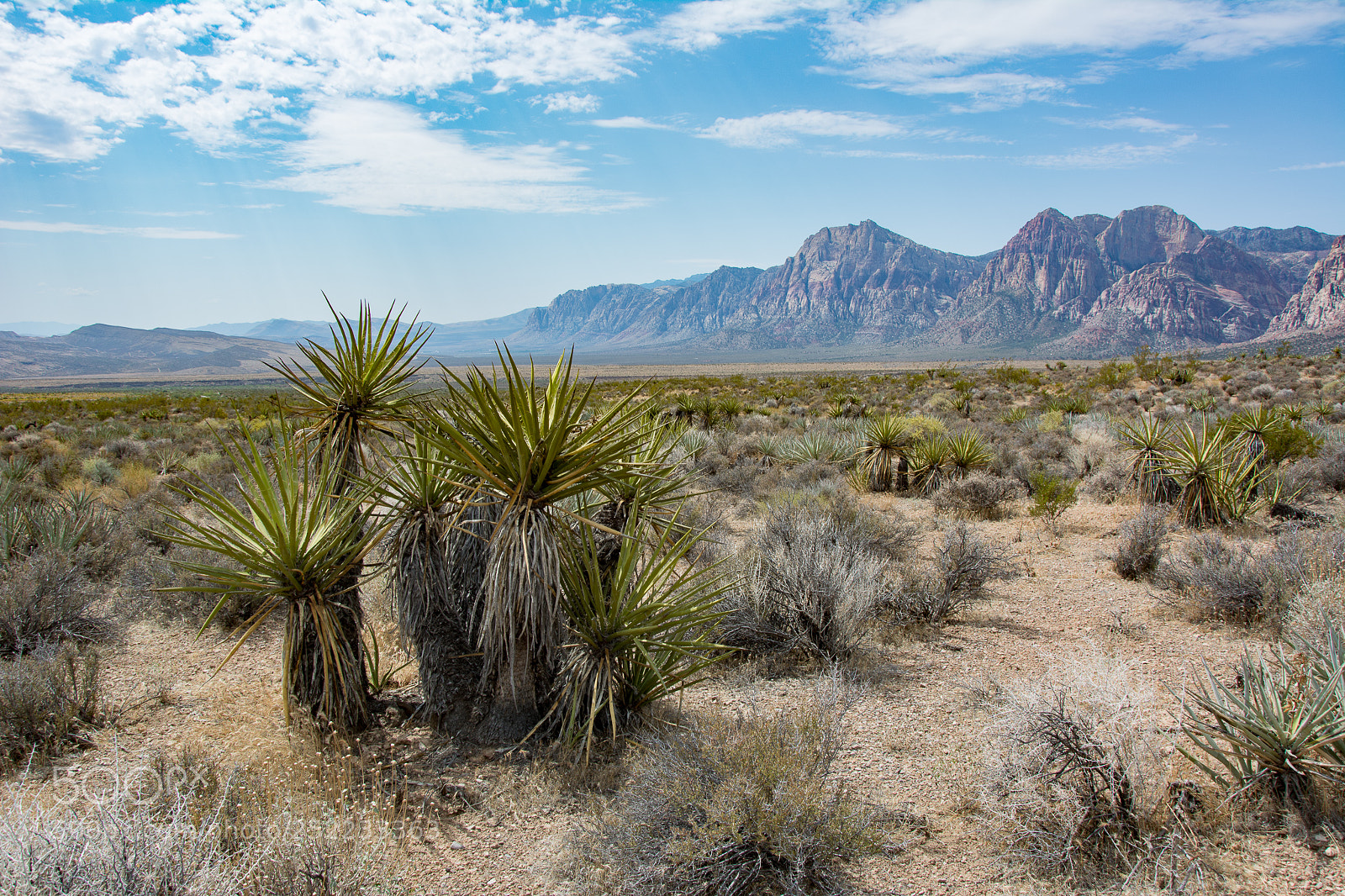 Nikon D5200 sample photo. Red rock canyon photography
